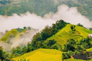 Bản Phùng – mùa vàng trên những nấc thang giữa Hoàng Su Phì
