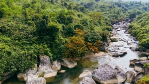Đà Nẵng sắp có Khu du lịch sinh thái 339ha
