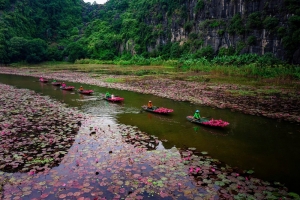 Lên đồ ngắm hoa súng ở Ninh Bình ngay